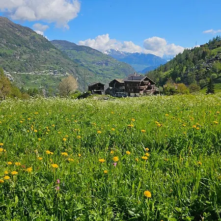 Graechbiel Mountain Rooms Small Rooms Big Views Real Mountain Feeling Campingplatz *